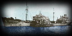 Marine Sulphur Queen